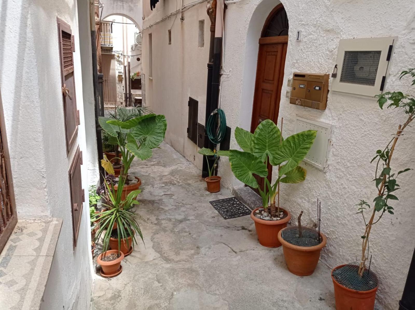 Cortile Maggiore Home Cefalù Dış mekan fotoğraf